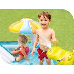 Pripučiamo vandens baseino žaidimų aikštelės drakono fontanas