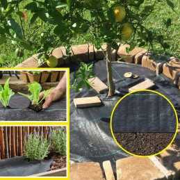 Kaip pateikti užsakymą