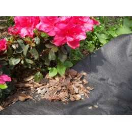 Wigo-garden juoda agrotekstilė 2% UV 50g/m2 120cm 10mb