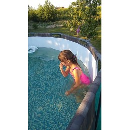 Bestway karkasinis sodo baseinas 366x100 5614x