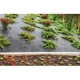 Juoda agrotekstilė piktžolėms, storas, stiprus UV kilimėlis, 100g, 1,1x100m