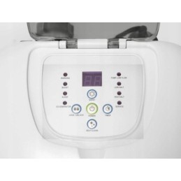 intex 26670 chloro generatorius