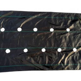 Agrotkanina skylutės braškėms, agurkams, pomidorams 1,1x100m piktžolėms su UV