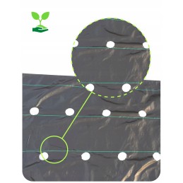 Agrotekstilė, skylutės braškėms ir agurkams, 1,1 x 100 m