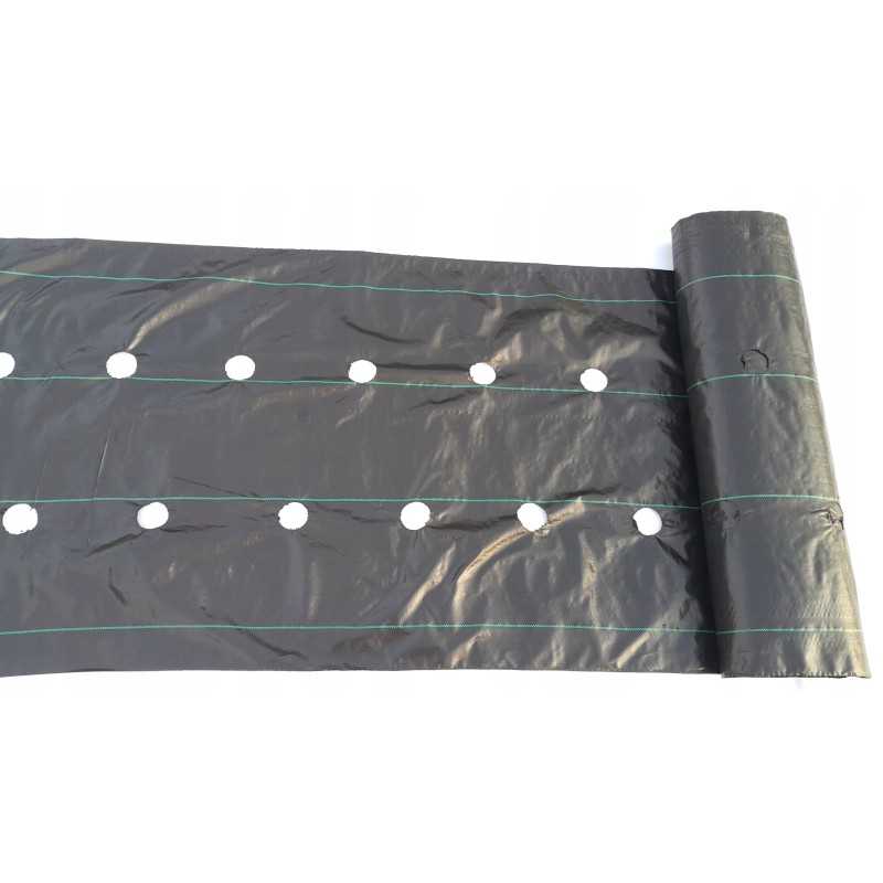 Žemės ūkio audinys su skylutėmis braškėms 1 10x100m