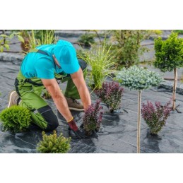 Agrotekstilė nuo piktžolių 2,7 x 100m agrotekstilė 70g stipri juoda