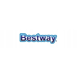 Bestway karkasa baseins ar sūkni 366x122cm 56420