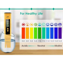 12-in-1 rėmo baseinas, kopėčios, chemija, plūdė, testeris