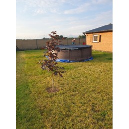 Bestway rėmo baseinas 366x100 cm plieno pro maks