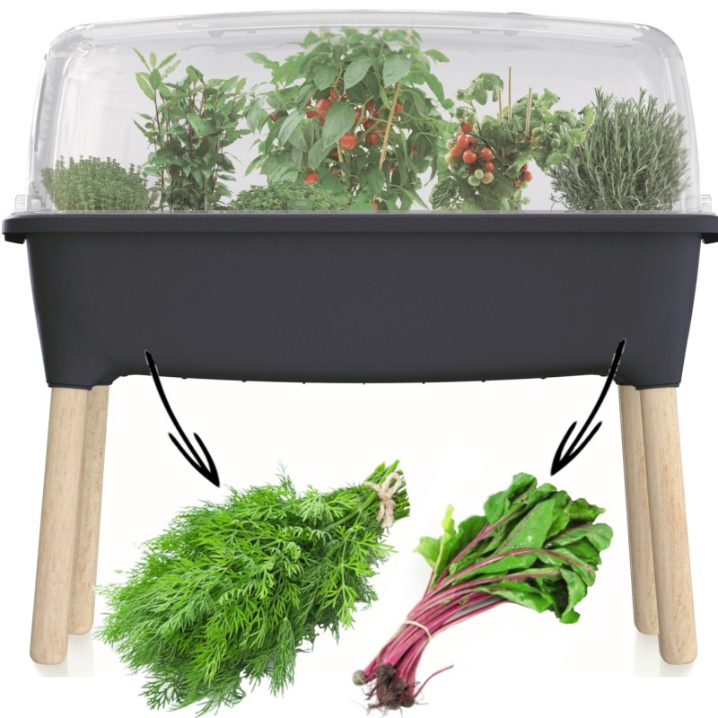 Mini greenhouse balcony home tall vegetable garden