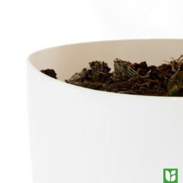 Flowerpot eria diameter 13 cm