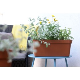 6 x Lobelia balkono dėžės rinkinys 40x17 h16 + balkono laikiklis - antracitas