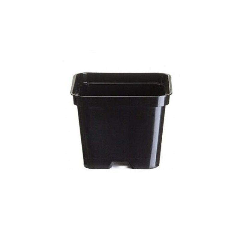 Seedling pots 9x9cm square 500pcs hard