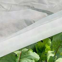 Balta pavasarinė agrotekstilė 17g - 3,2 x 5 m agrospeed