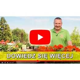 Raudono džiuto apsauginis gaubtas