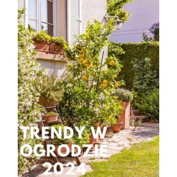 Stiprus žemės ūkio audinys 3 2x50 kilimėlis nuo piktžolių premium 135 g m2 puiki kokybė