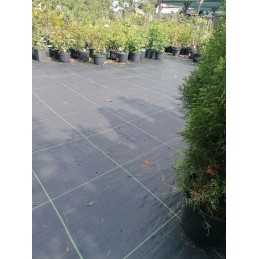 Juoda agrotekstilė|100g|mulčiavimo kilimėlis|nuo piktžolių|1,10 x 1m