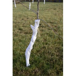 Žieminė agrotekstilė, stora apsauginė danga krūmams, 100x3,2 m