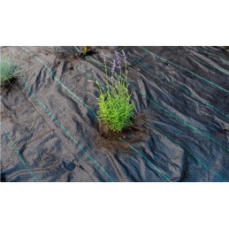 UV nuo piktžolių agrotekstilė 110g / 3,2 x 50 m žalia