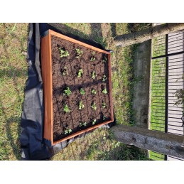 Vegetable box for the garden 120x120x18