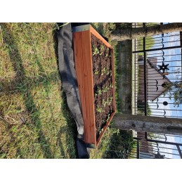 Vegetable box for the garden 120x120x18
