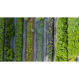 Juodas nuo piktžolių agrotekstilės 3,2x100m agrotekstilės kilimėlis piktžolėms 70g