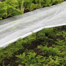 Balta agrotekstilė 1,6x5m 17g/m geolia