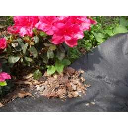 Juoda mulčiavimo agrotekstilė 1,6 m p50 vienam metrui