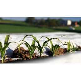 Pavasarinė agrotekstilė p-17 balta 1,6x10m biovita