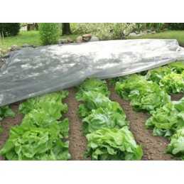 Spyruoklinės agrotekstilės dydis: 2,1x 5 m 10 m2