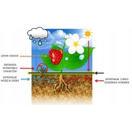 ⭐⭐Agrotekstilė 90g 3,2x50m juoda UV agrotekstilė 3% nuo piktžolių + kaiščiai⭐⭐