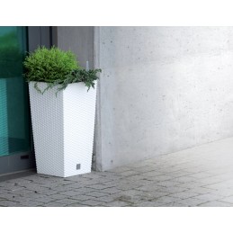 Prosperplast umbra vazonas 61cm