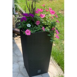 Prosperplast umbra vazonas 61cm