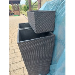 Prosperplast umbra vazonas 61cm