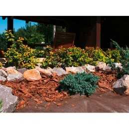 Lenko agrotekstilė - 99 g/m2 plotis 65 cm