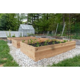 Vegetable garden herbarium cold frame wooden box 120x120