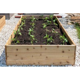 Vegetable garden herbarium cold frame wooden box 120x120