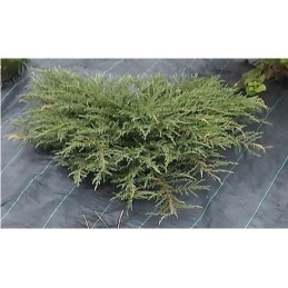 Žemės ūkio mulčiavimo audinys (nuo piktžolių) agro danga juoda 220 x 5000 cm 90 g/m²