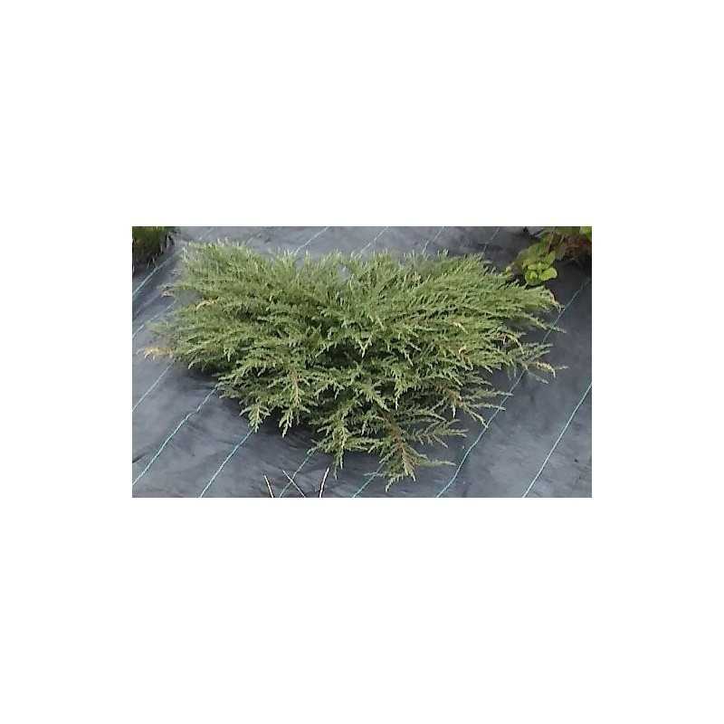 Žemės ūkio mulčiavimo audinys (nuo piktžolių) agro danga juoda 220 x 5000 cm 90 g/m²