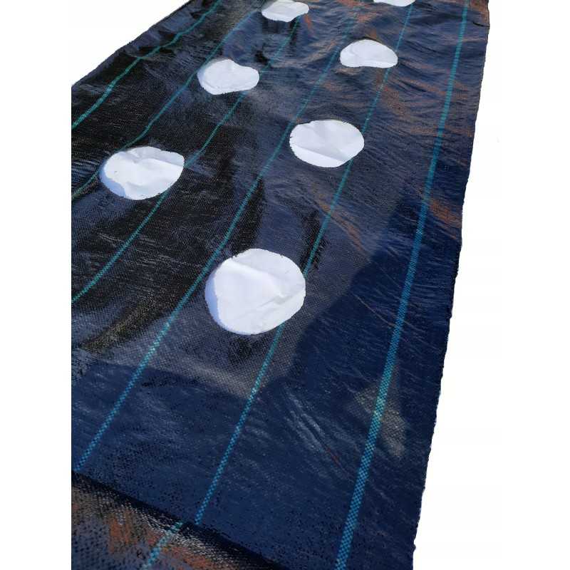 Agrotekstilė, skylutės braškėms ir agurkams, 1,1 x 50 m
