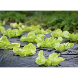 dailylentės folija 1 00x500mb uv4 4 sezonas