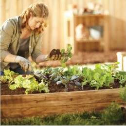Raised bed vegetable box impregnated high 120x120