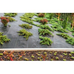 Juoda agrotekstilė piktžolėms, stora, tvirta, UV kilimėlis, 100g, 2,1x100m