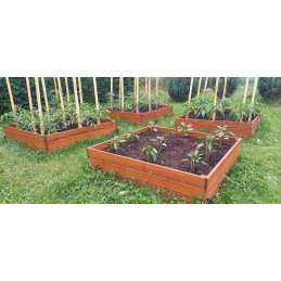 Dārzeņu 120x120x18 spiediena impregnēta pārbaudes kastes herbārijs
