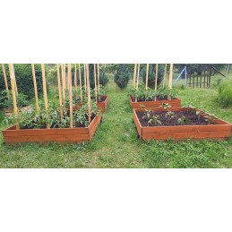 Greenhouse 120x120x18 pressure impregnated cold frame herbarium box