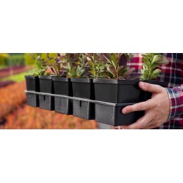 Production pot black 9x9x9cm
