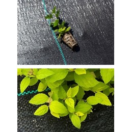 ⭐⭐Agrotekstilė 110g 1,6x100m premium UV 3% agrotekstilė juodas kilimėlis + kaiščiai⭐⭐