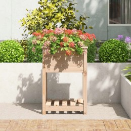 Vidaxl Planter with Shelf 54x54x81 cm Solid Pine Wood