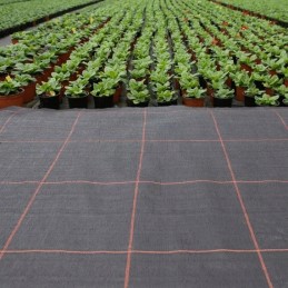 Agrotekstas juodas 100g m2 1 6x100m