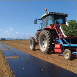 eifelio suspaudimo folija juoda braškėms 35mic 1 2m x 1000m